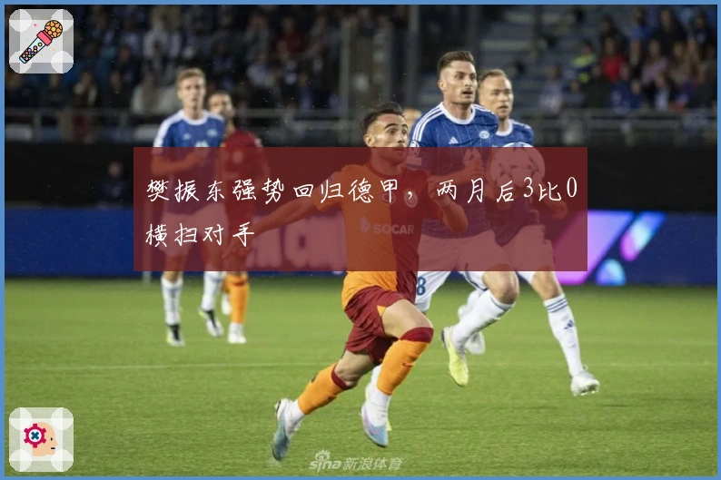 樊振东强势回归德甲，两月后3比0横扫对手