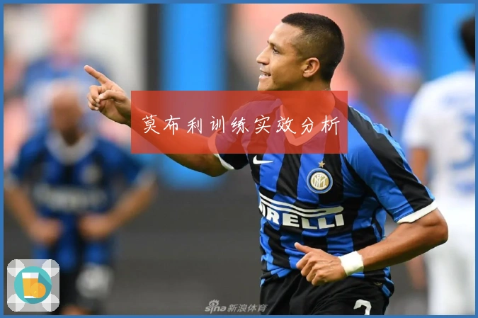 莫布利训练实效分析