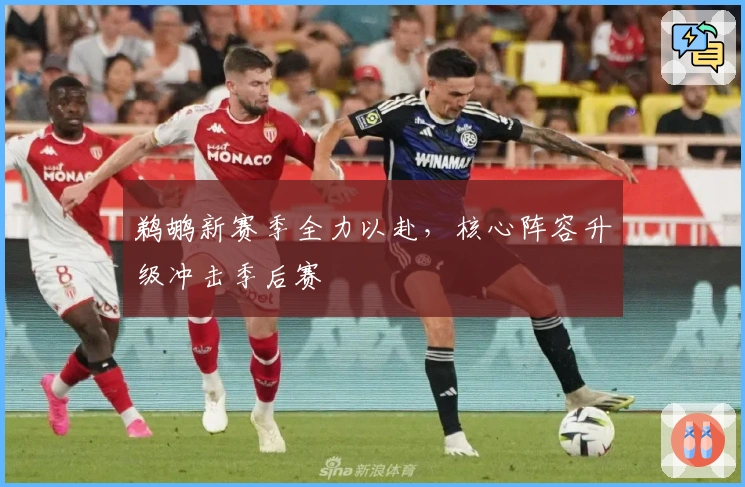 鹈鹕新赛季全力以赴，核心阵容升级冲击季后赛